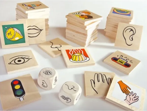 jeu-educatif-nos-5-sens-et-l-environnement (1).webp