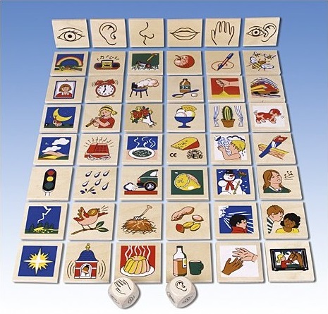 Nos 5 sens et l'environnement